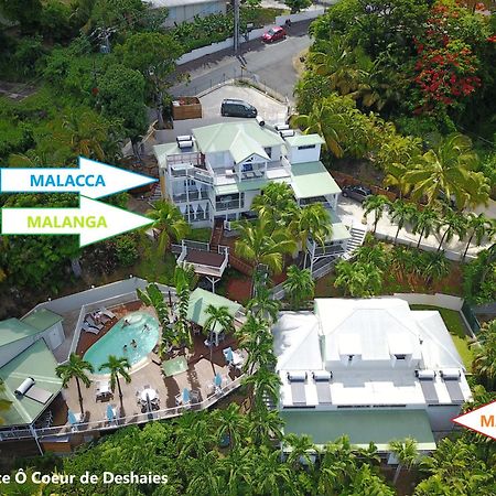 Studio Malacca, Malanga Et Majacudja - O Coeur De Deshaies Exteriör bild