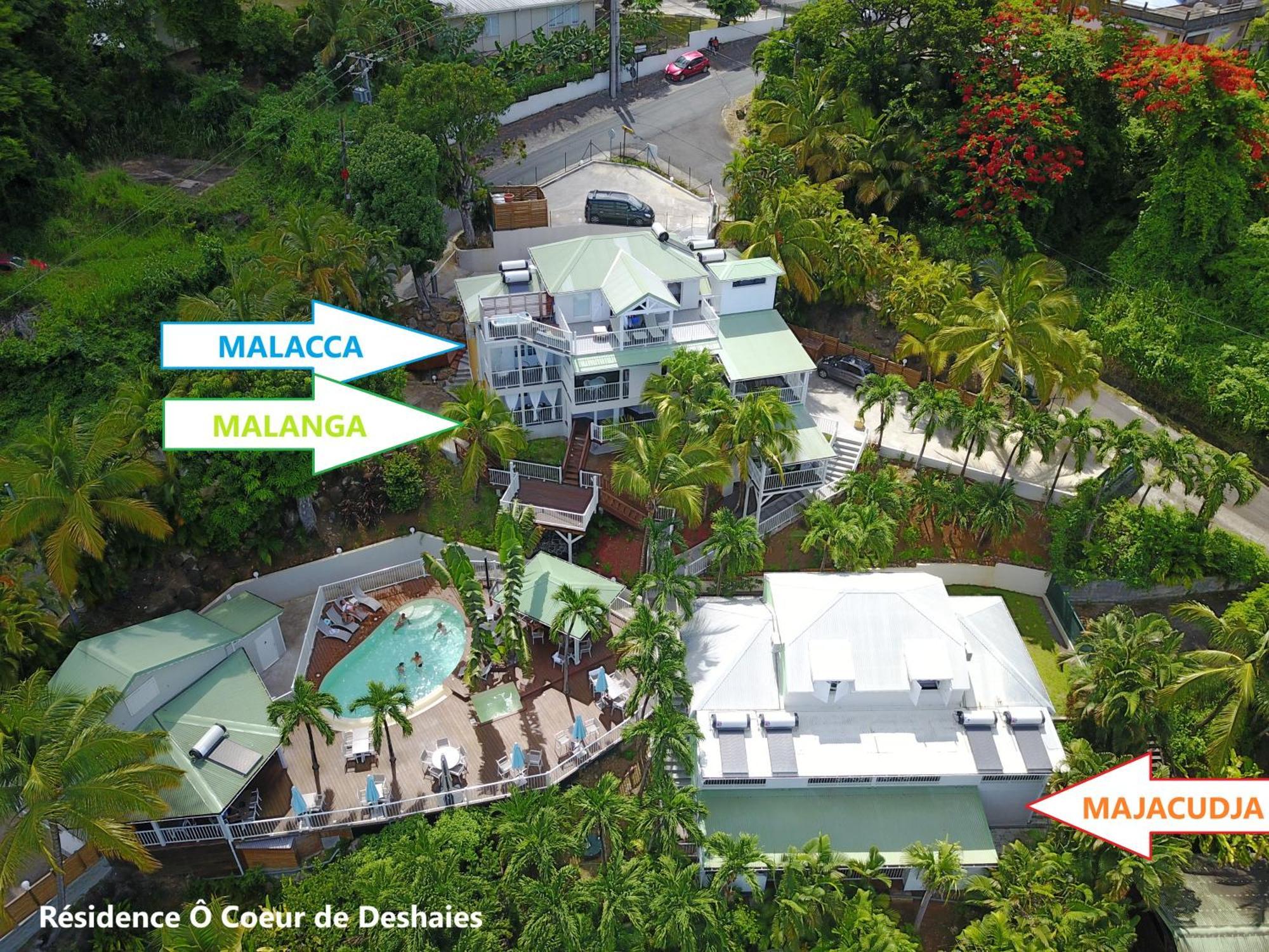 Studio Malacca, Malanga Et Majacudja - O Coeur De Deshaies Exteriör bild