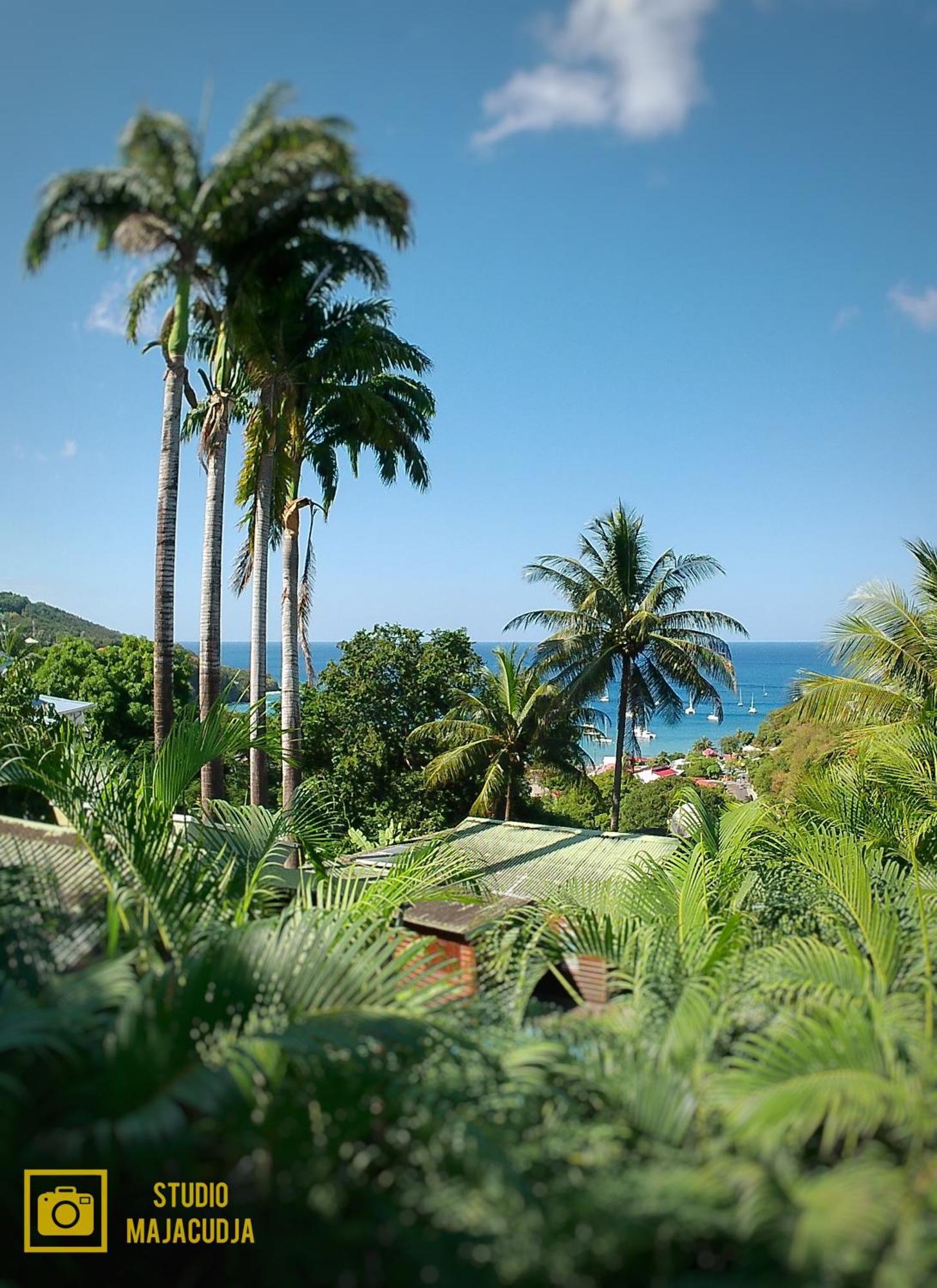 Studio Malacca, Malanga Et Majacudja - O Coeur De Deshaies Rum bild